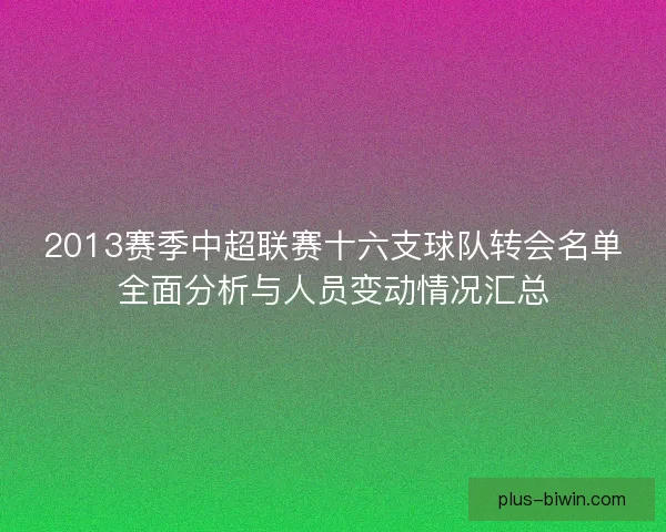 2013赛季中超联赛十六支球队转会名单全面分析与人员变动情况汇总 2013赛季中超联赛十六支球队转会名单全面分析与人员变动情况汇总