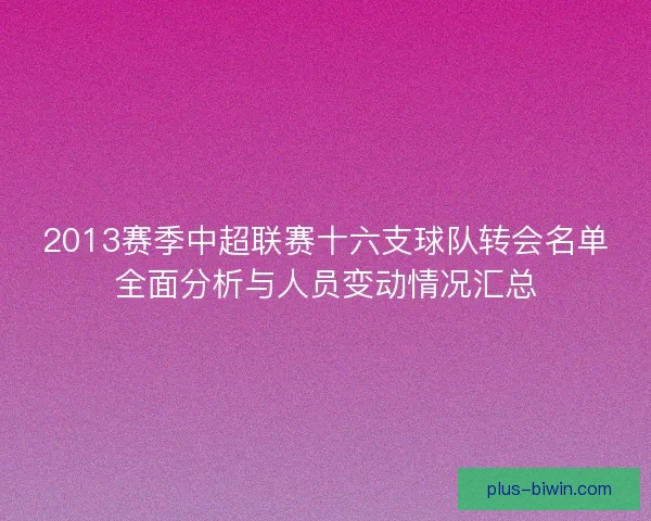 2013赛季中超联赛十六支球队转会名单全面分析与人员变动情况汇总 2013赛季中超联赛十六支球队转会名单全面分析与人员变动情况汇总