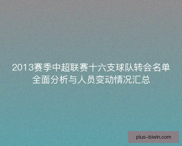 2013赛季中超联赛十六支球队转会名单全面分析与人员变动情况汇总