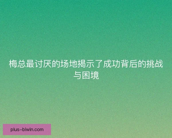 梅总最讨厌的场地揭示了成功背后的挑战与困境
